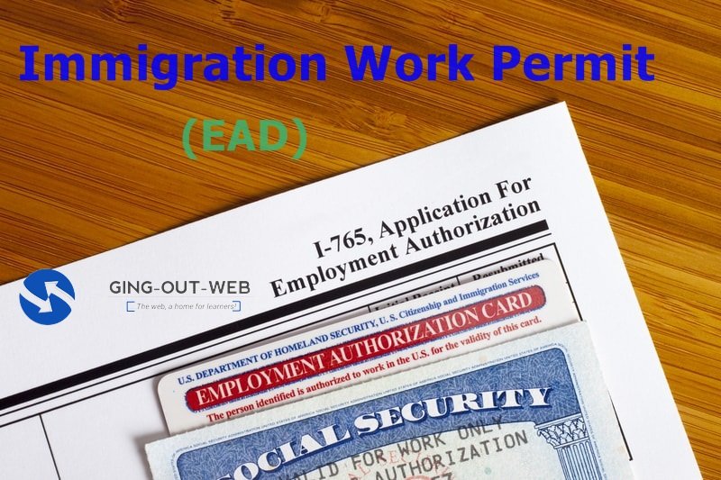 Immigration Work Permit (EAD) - Form I-765 Application Guideline